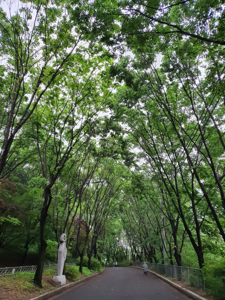 안산 등산하고 숲길에서 한컷