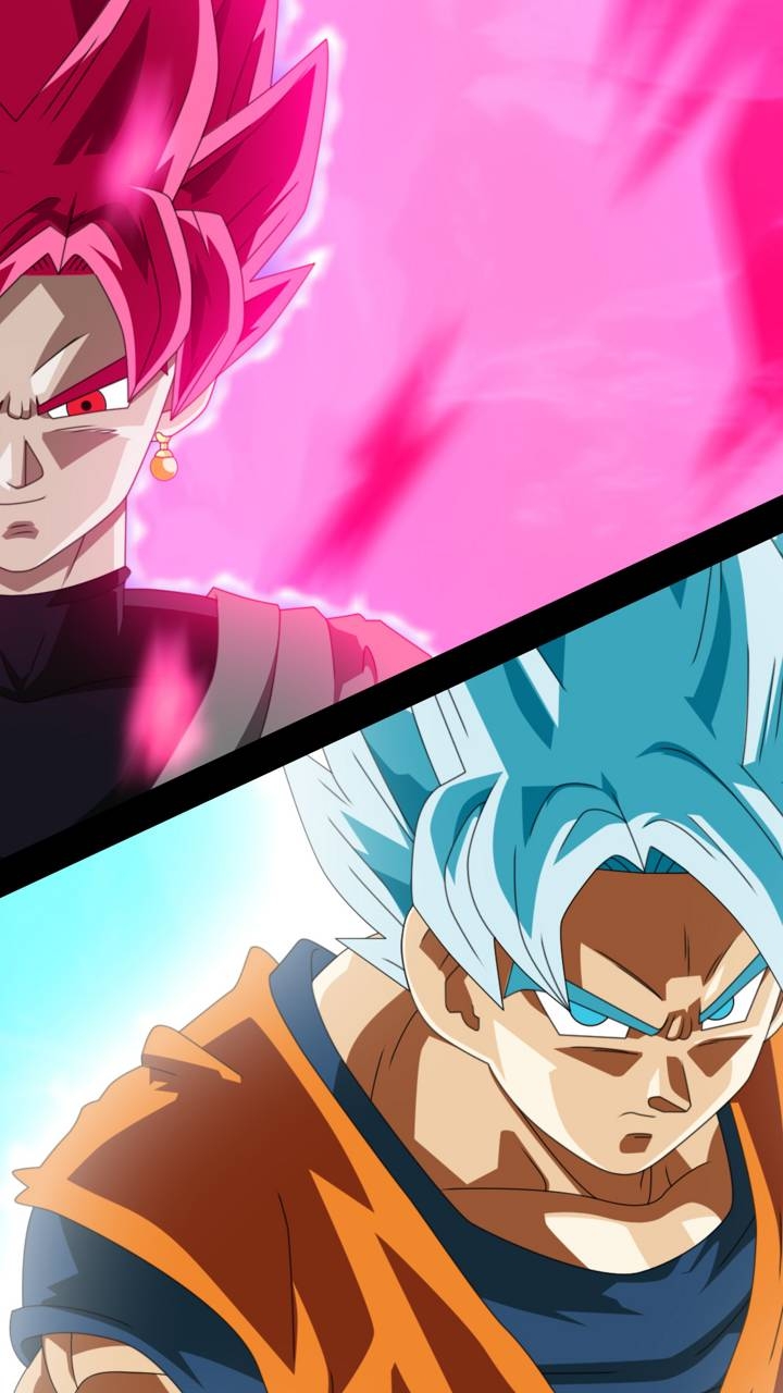 goku y goku black