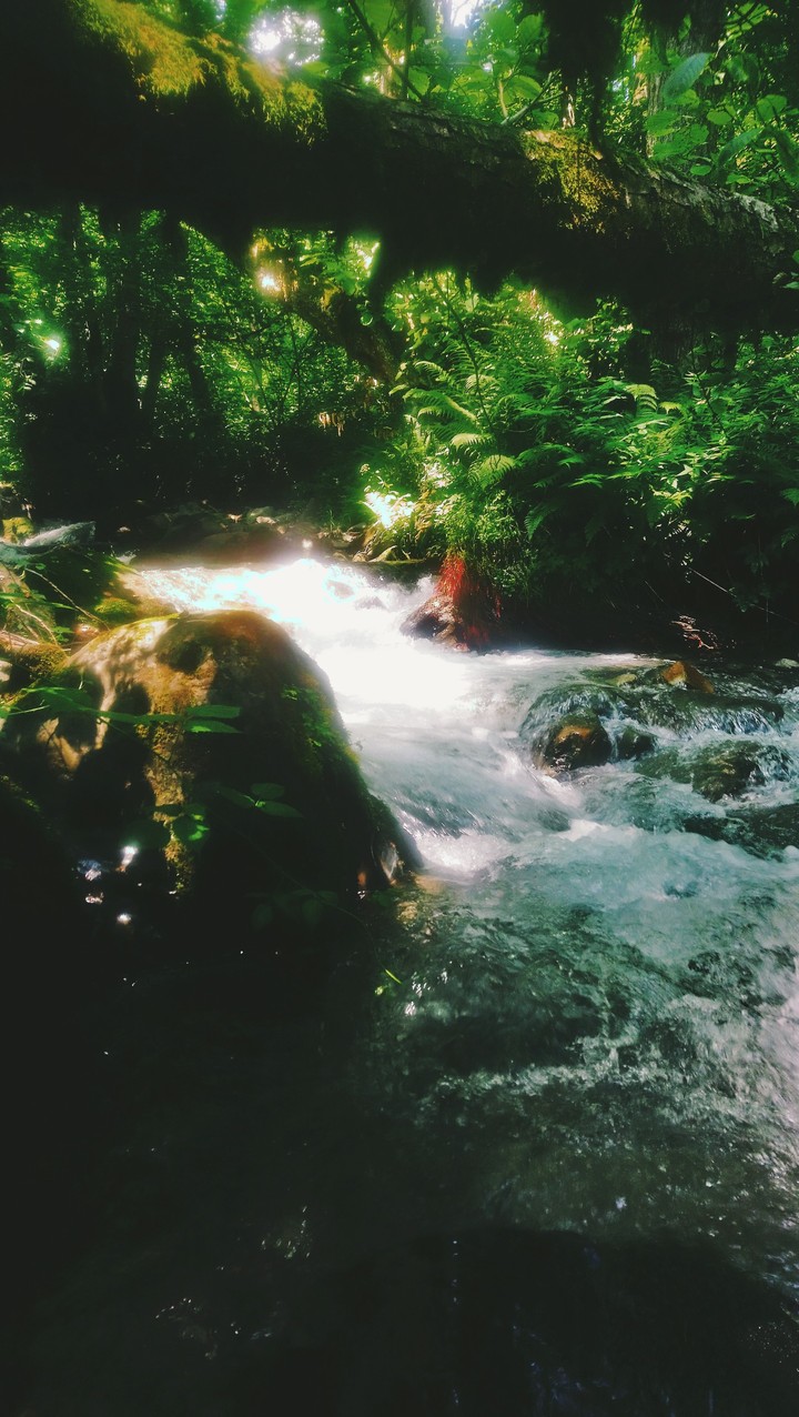 Водопад