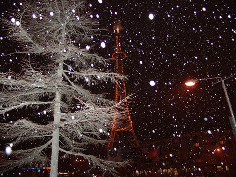 winter