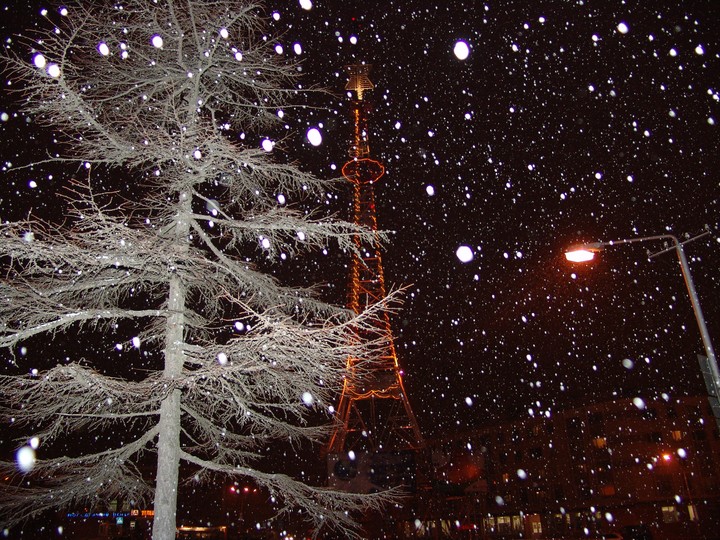 winter