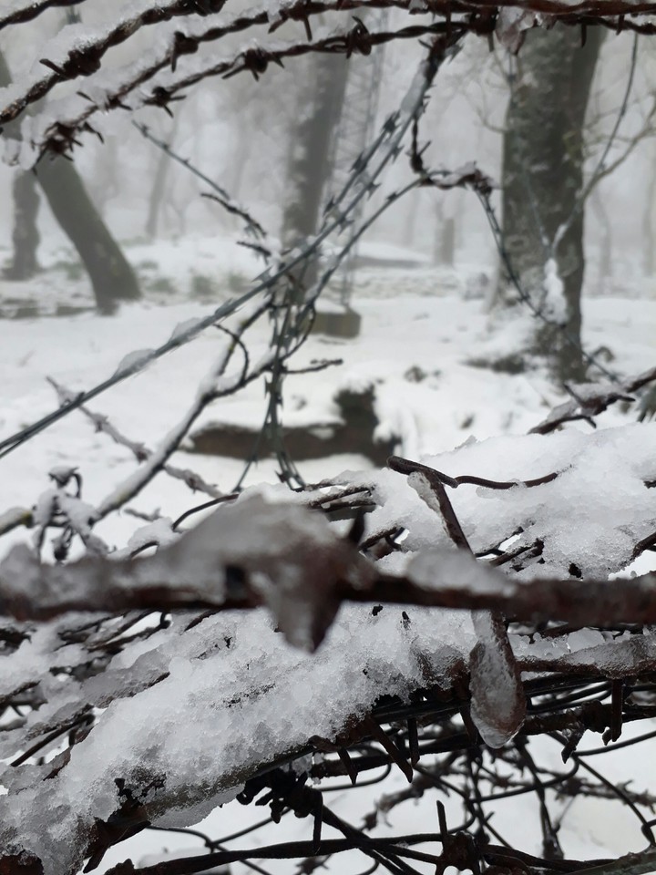 snowy weather