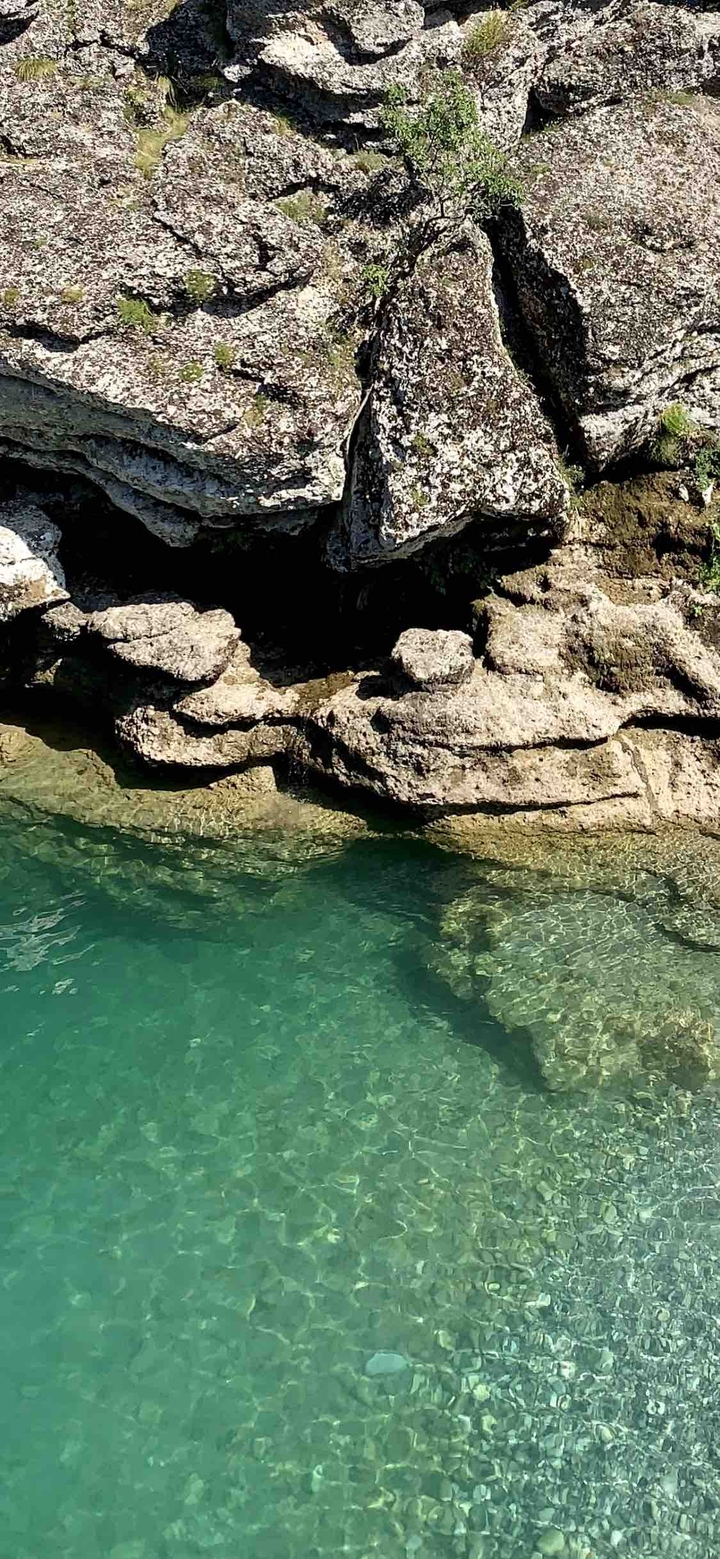 nature beauty