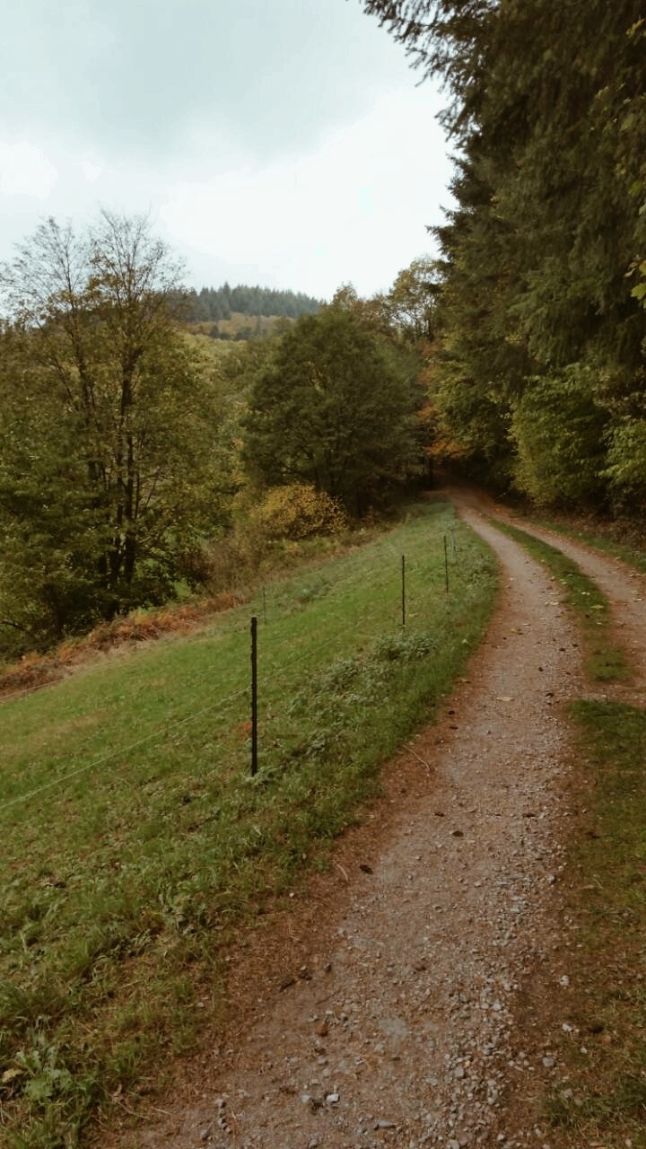 Road