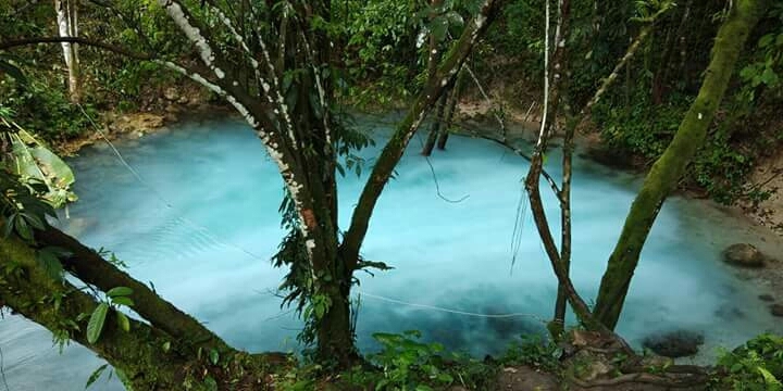 kolam