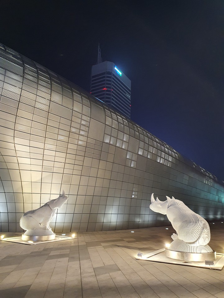 #서울#동대문DDP#