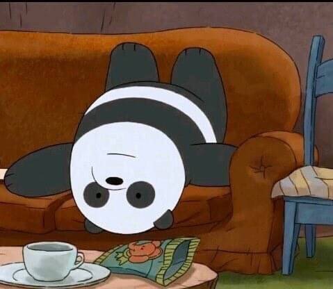 cute bear