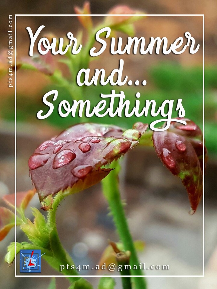 Your summer and somethings