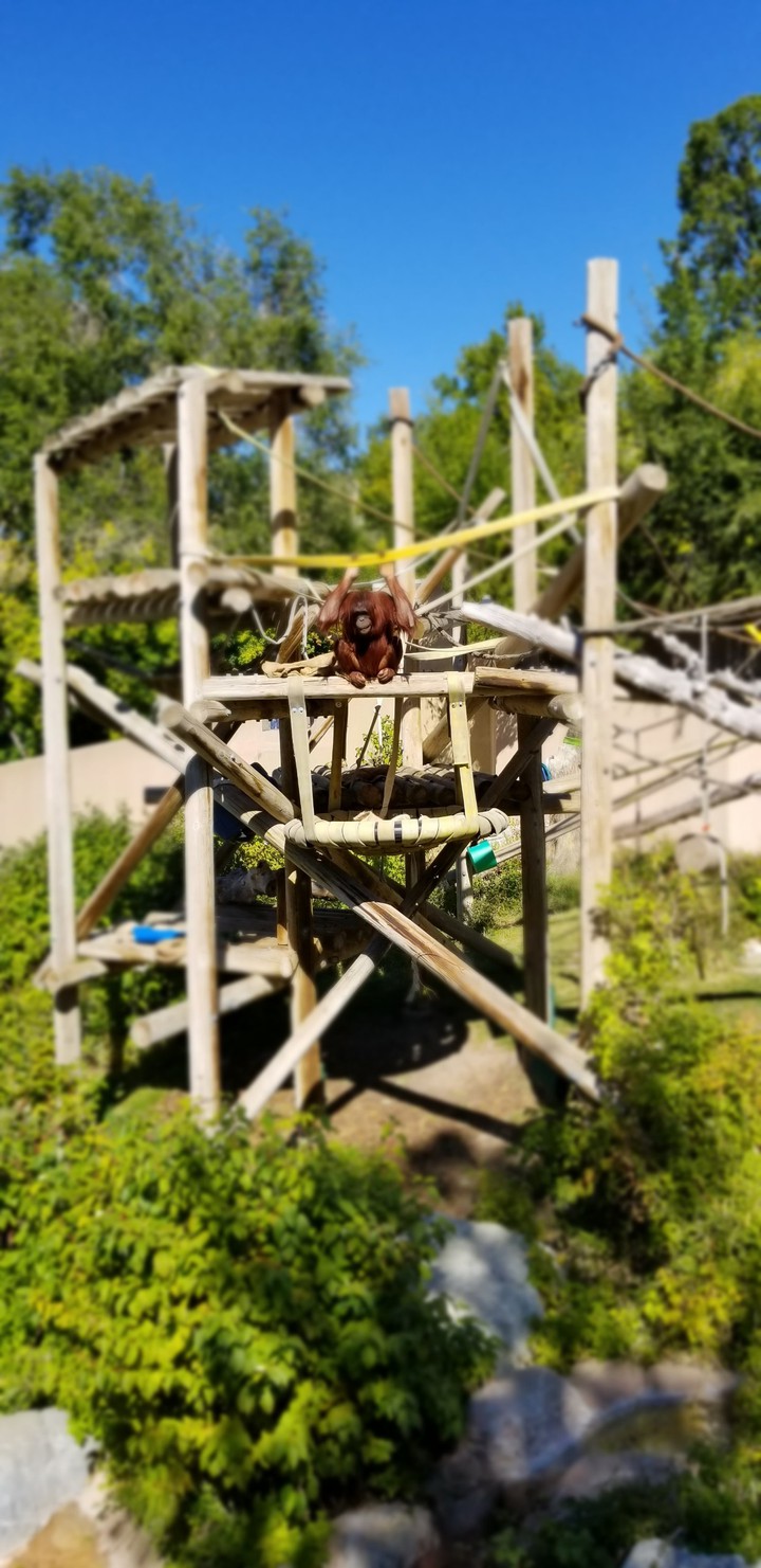 Hogle Zoo