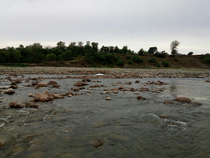 the stream