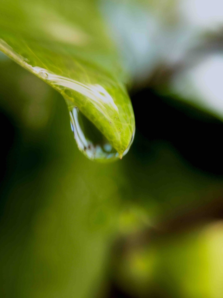 Water Drop