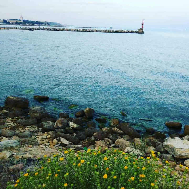 море