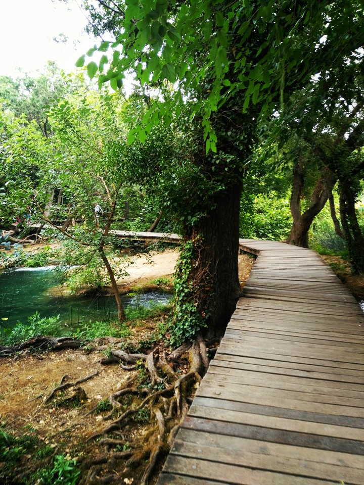 path