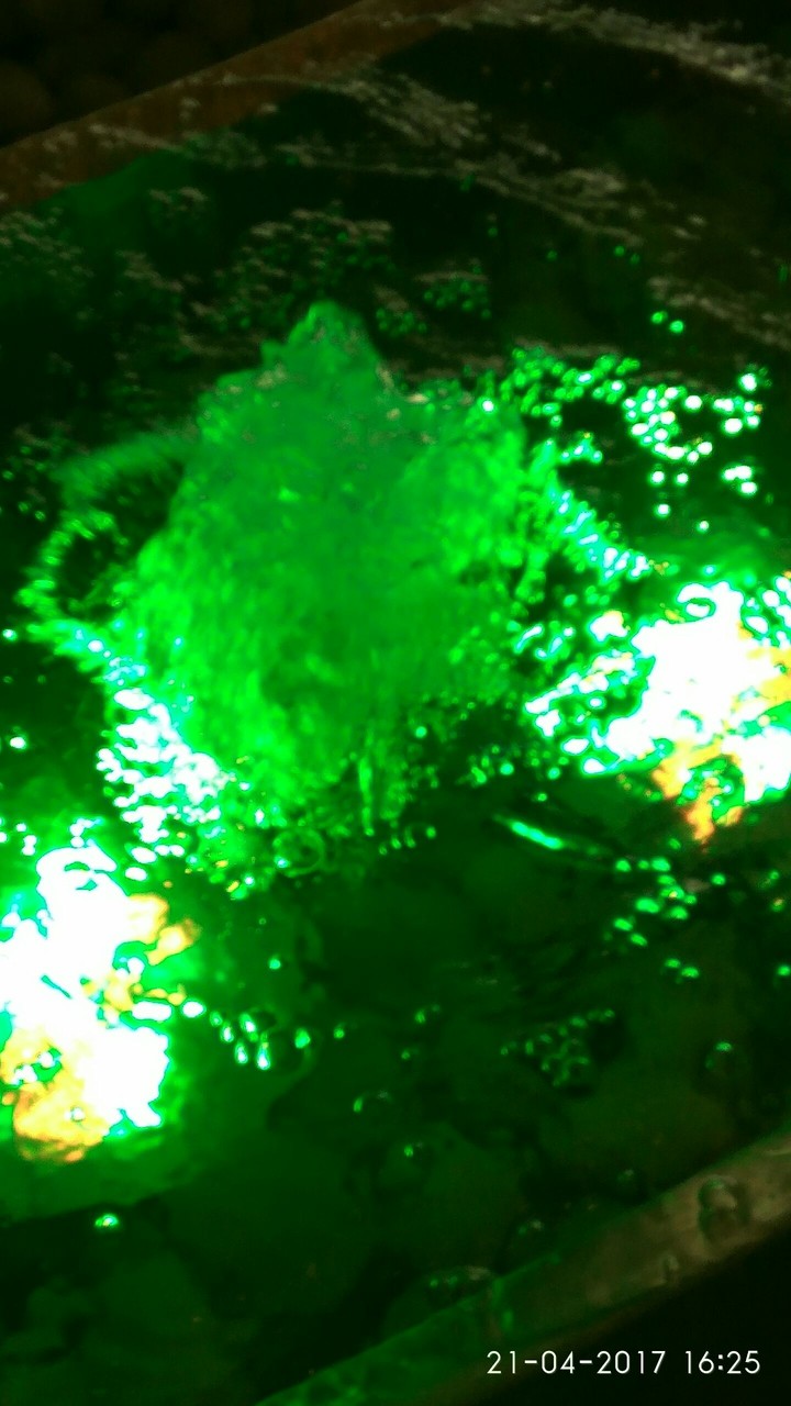 boiling green...