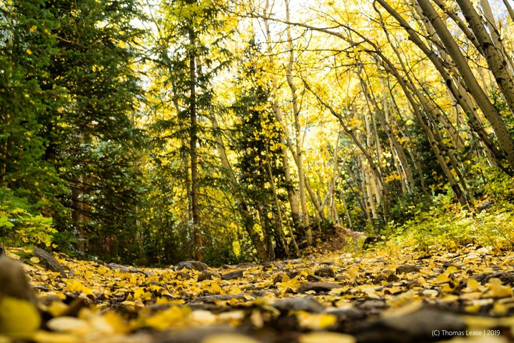 Fall has come to Colorado