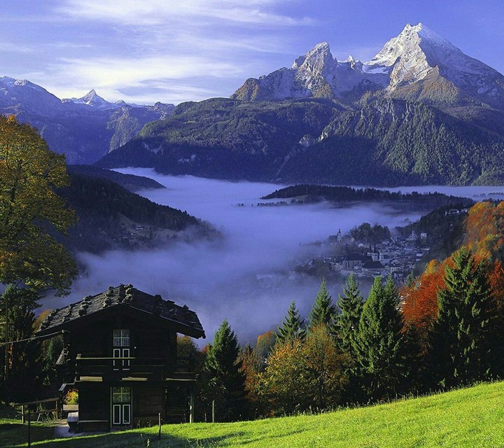 Lonely House