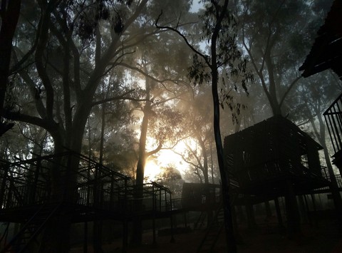Sunrise