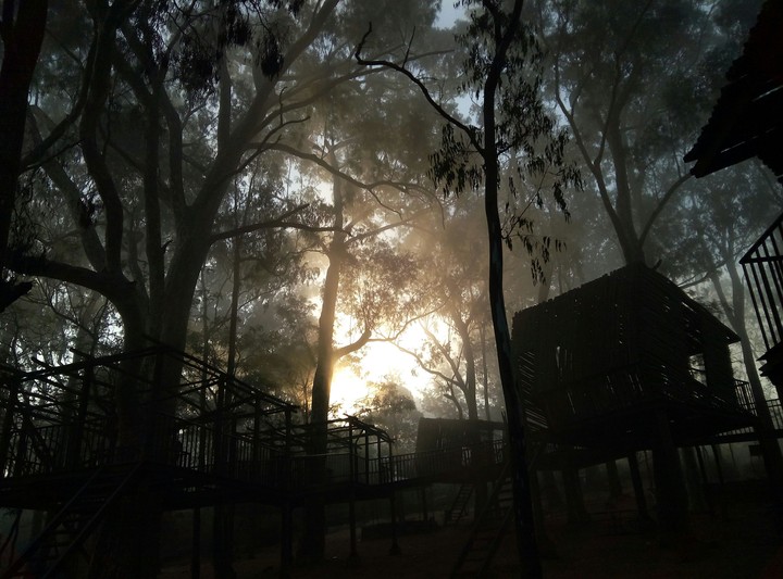 Sunrise