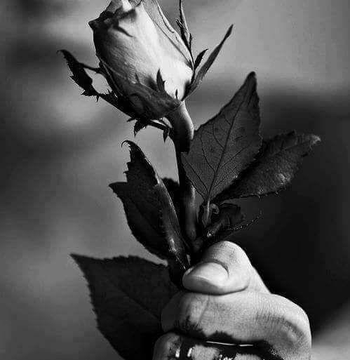 Bleeding Flower