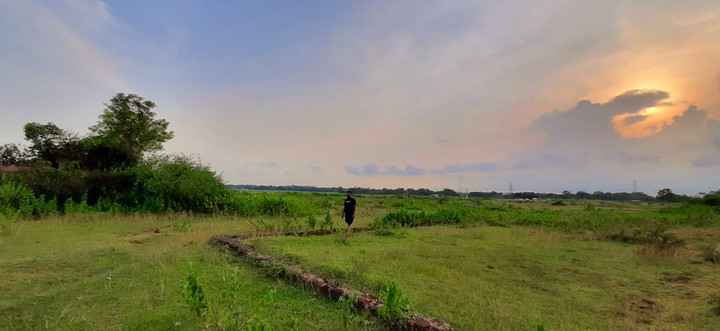 scenery
