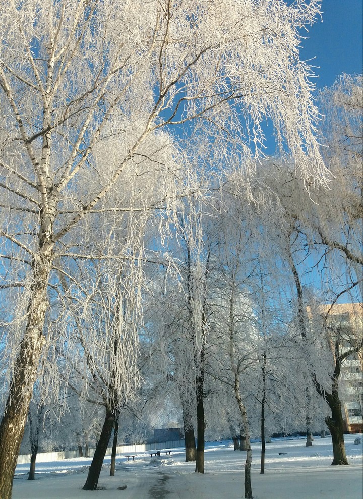 snow