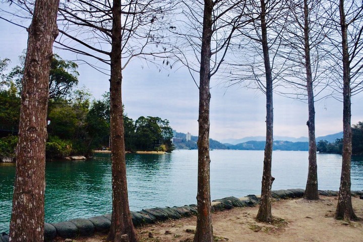 lack and tree