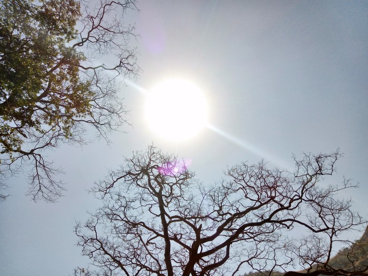 sun
