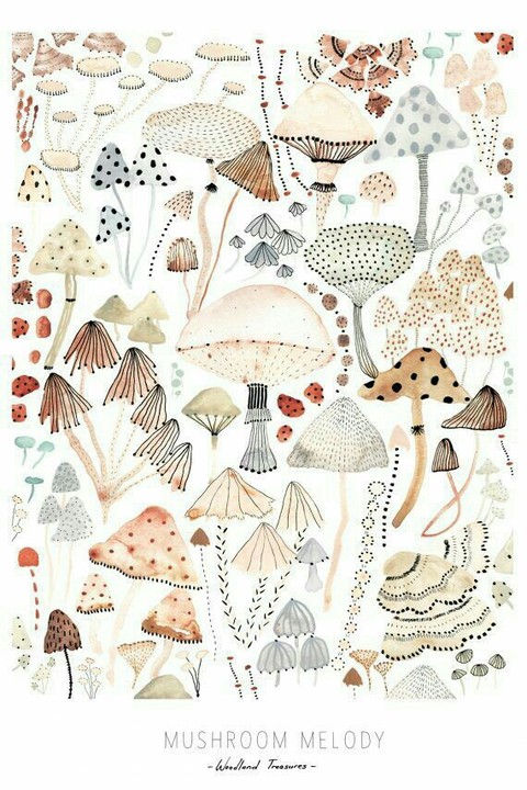 mushrooms