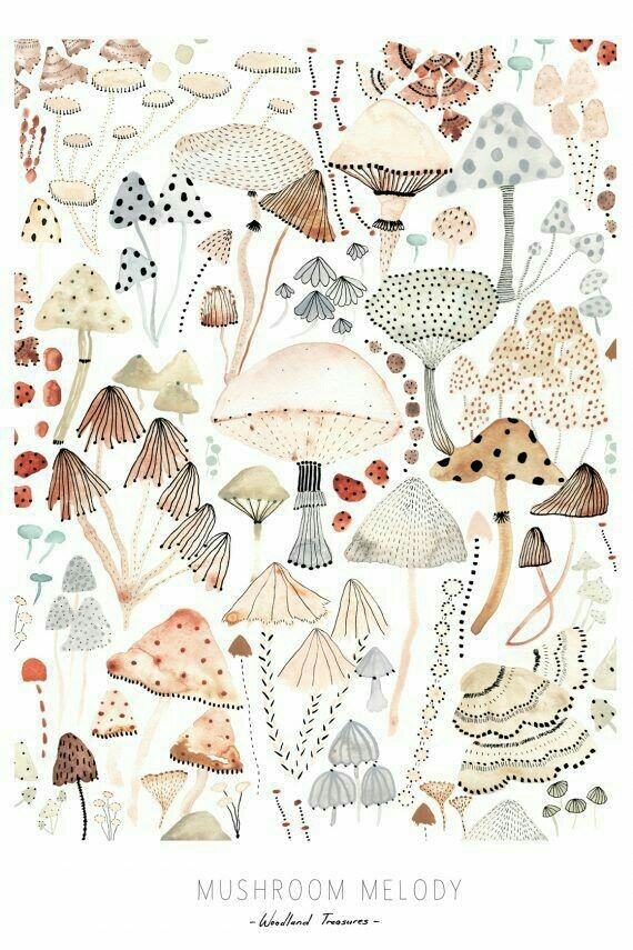 mushrooms