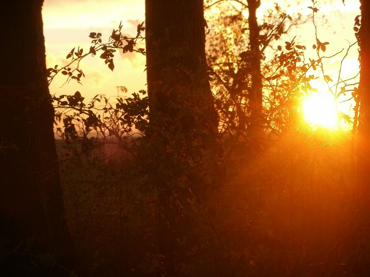 .. ..  Sun..