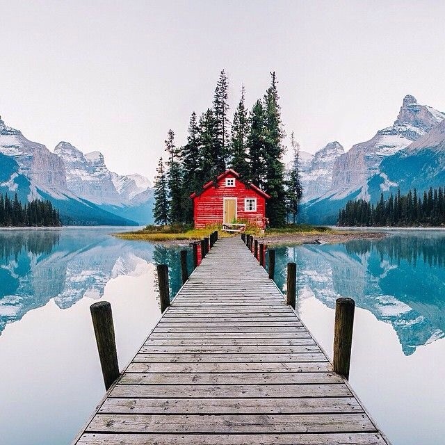 nature
