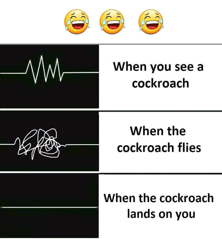 .....