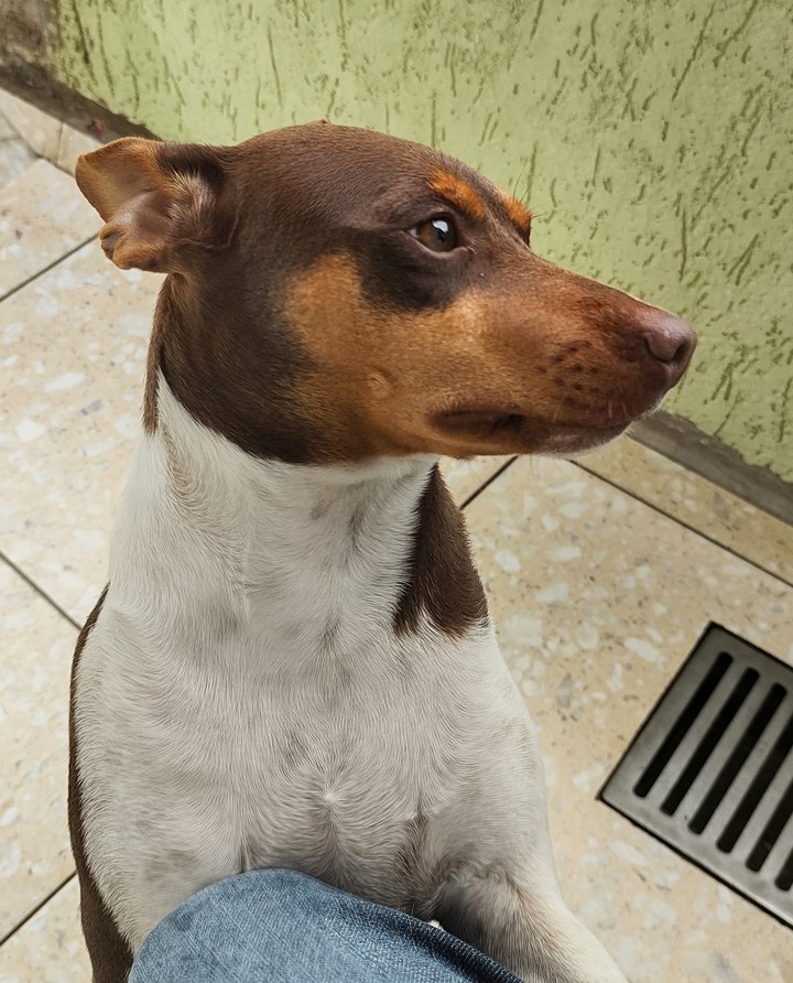 Yumi - São Paulo - BRAZIL