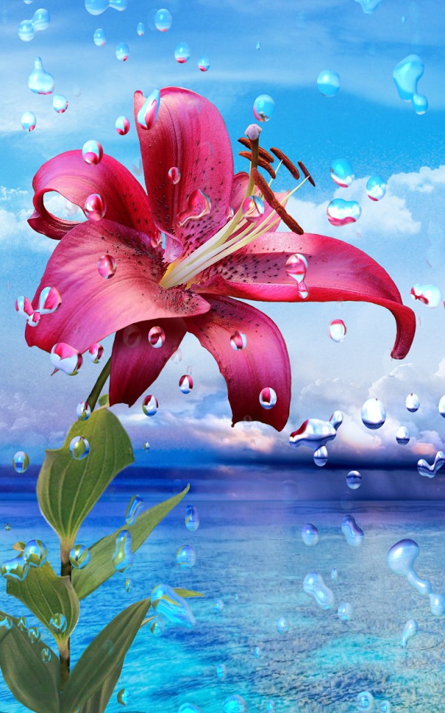 flower