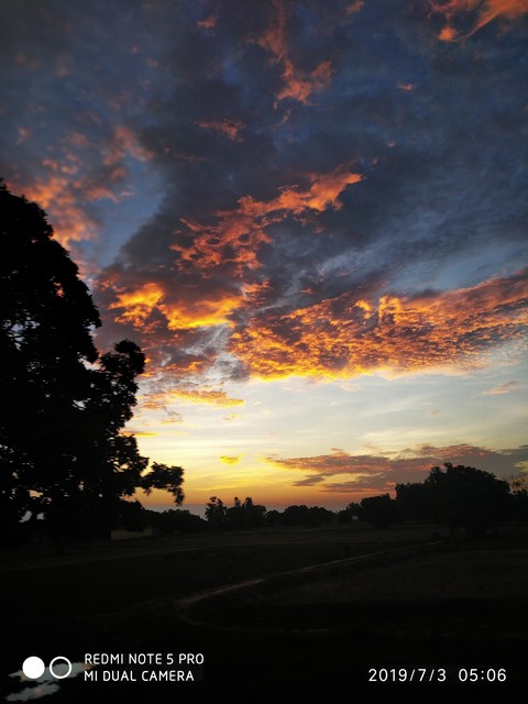 the color of nature??