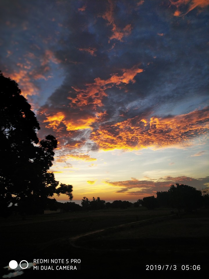 the color of nature??