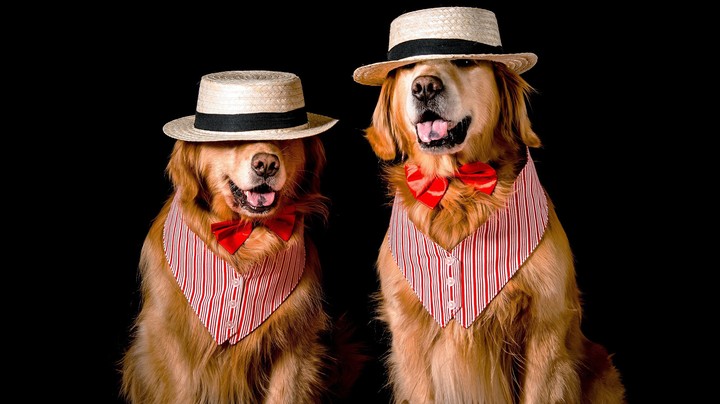 Gentlemen :)