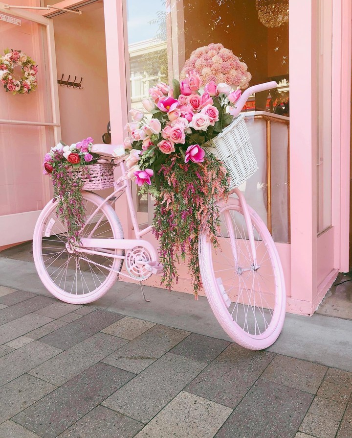 ♡~♧~♡