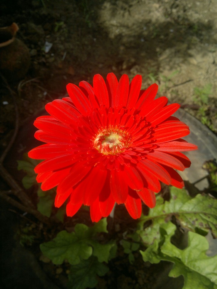 Beautiful