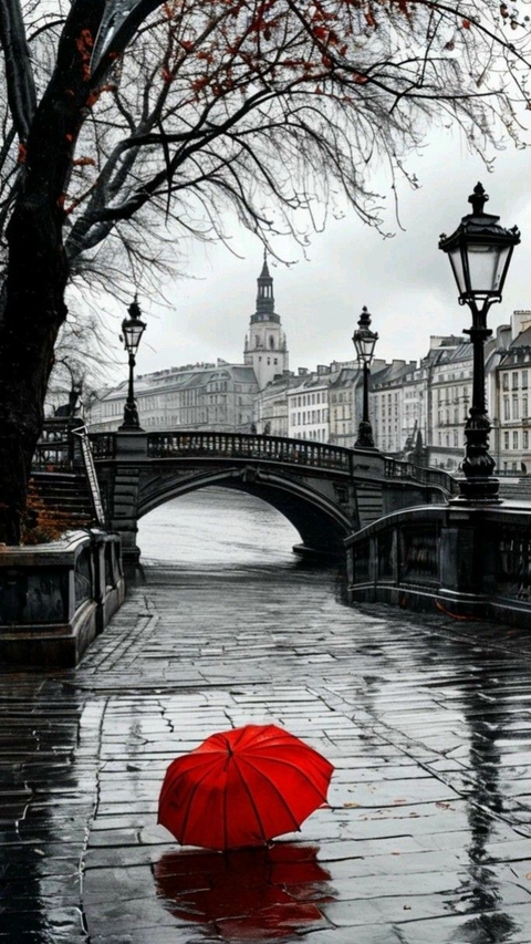 Осень, дождь...
