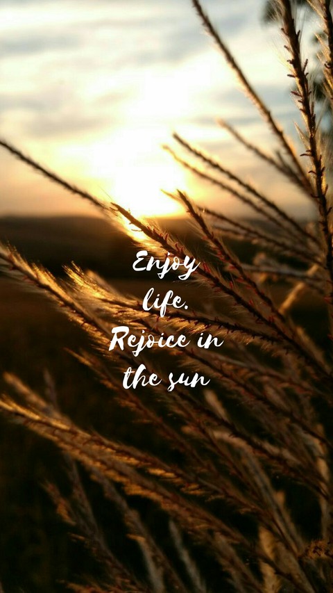 Quotes