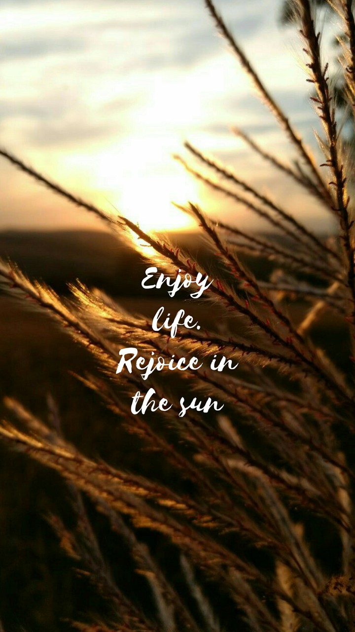 Quotes