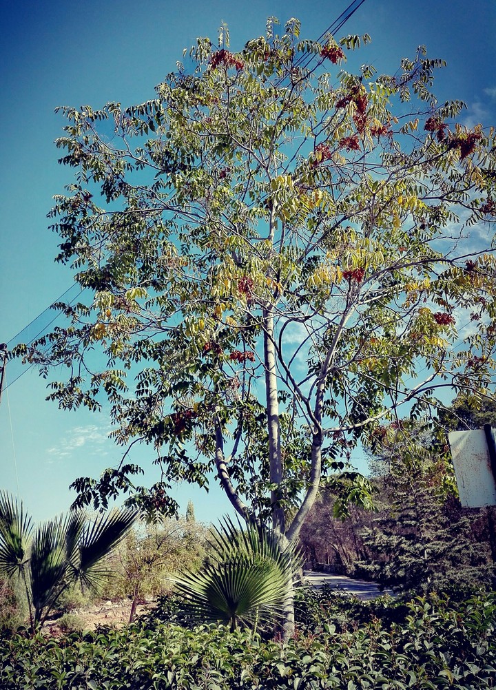 beautiful day