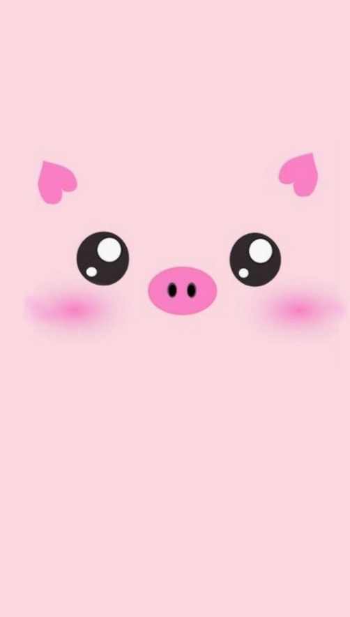 pig