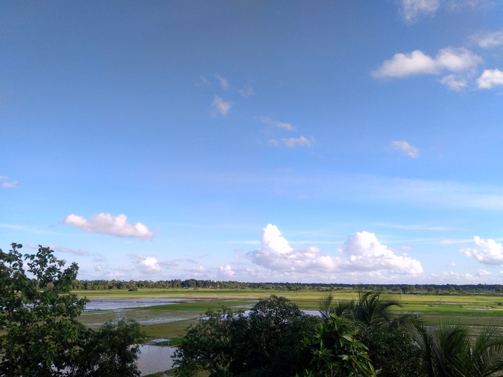 nature view