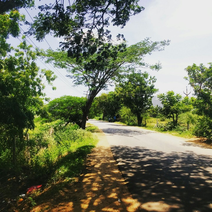 Green Road