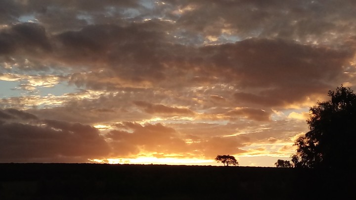 fim de tarde