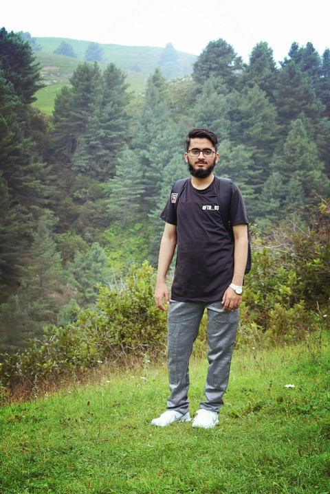 tapety nature, grass