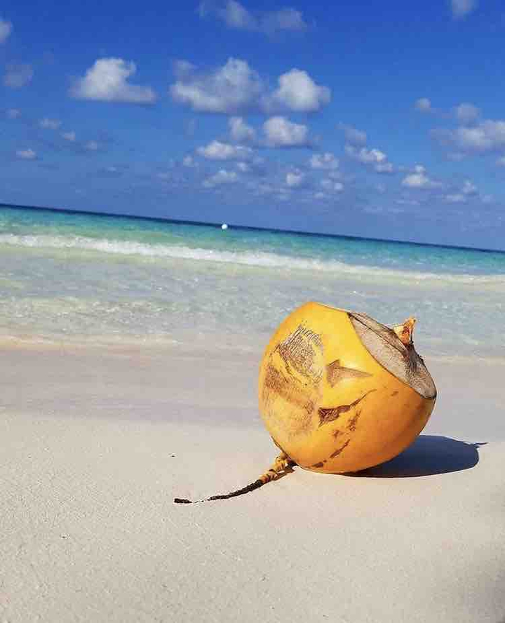 Coconut wata fi wash off yuh heart.