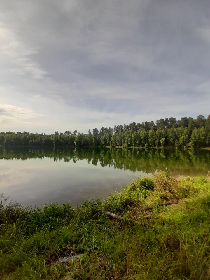 Утро